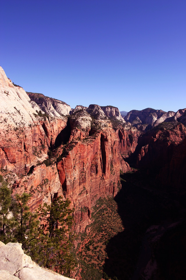 The ridge you hike across to reach Angels Landing