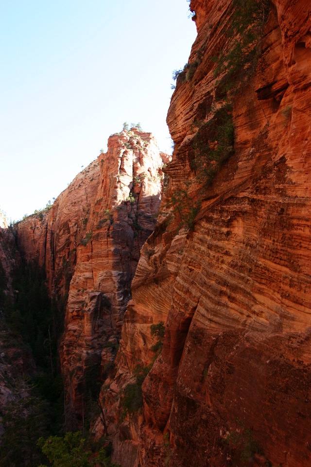 the cliff face on the Angels Landing hike in Zion National Park